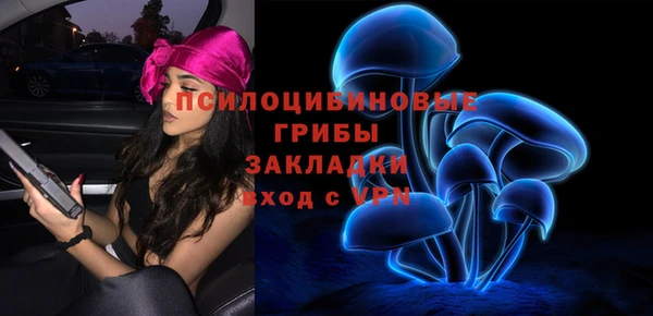 a pvp Алзамай