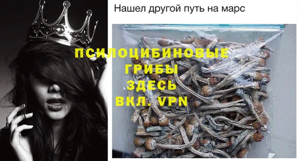 a pvp Алзамай