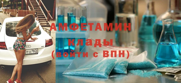мет Алексин
