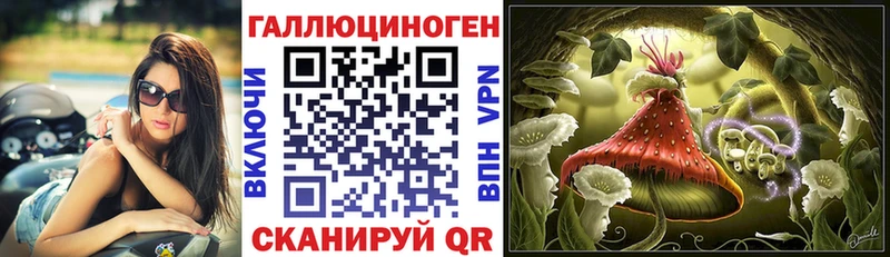 Псилоцибиновые грибы GOLDEN TEACHER  как найти   Буй 